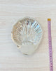 YoYo Boutique Accessories Large Silver Baptismal Conch